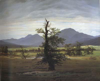 Caspar David Friedrich Landscape with Solitary Tree (mk10) Sweden oil painting art